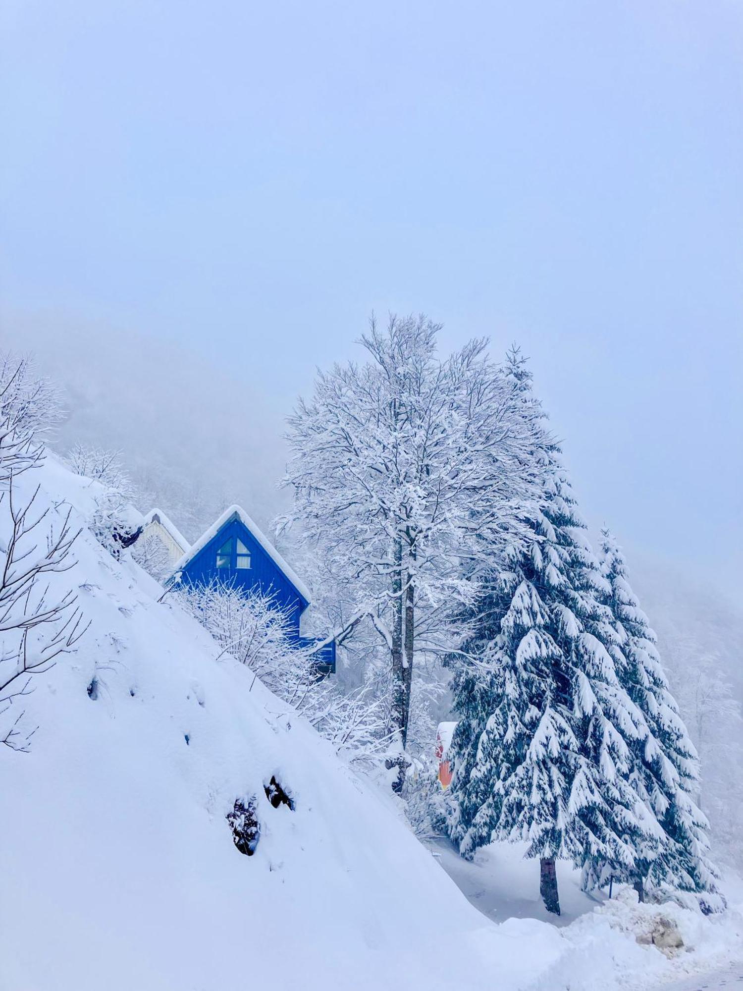 גורט Iskoe Chalets-Hoetel, Col D'Aubisque מראה חיצוני תמונה